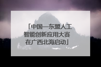 中国—东盟人工智能创新应用大赛在广西北海启动
